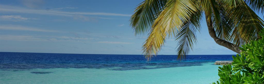 Blog Calculadora de exposição cibernética, uma ferramenta gratuita para empresas